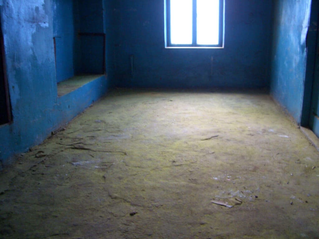 Jarosław Perszko, „Niebieski jest jaki jest. Żółty przyszedł sam”, instalacja: pokój zastany, 110 g kadmium żółty, Międzynarodowy Festiwal Sztuki Współczesnej we Lwowie, Ukraina, 2009 r.