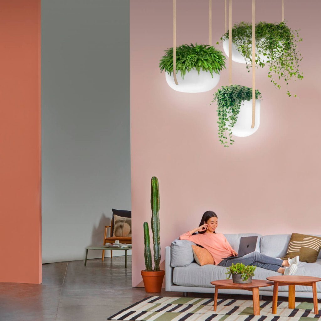 „Jungle” to rodzina opraw oświetleniowych z możliwością aranżacji roślin, proj. Kabo & Pydo, prod. flexx.design.