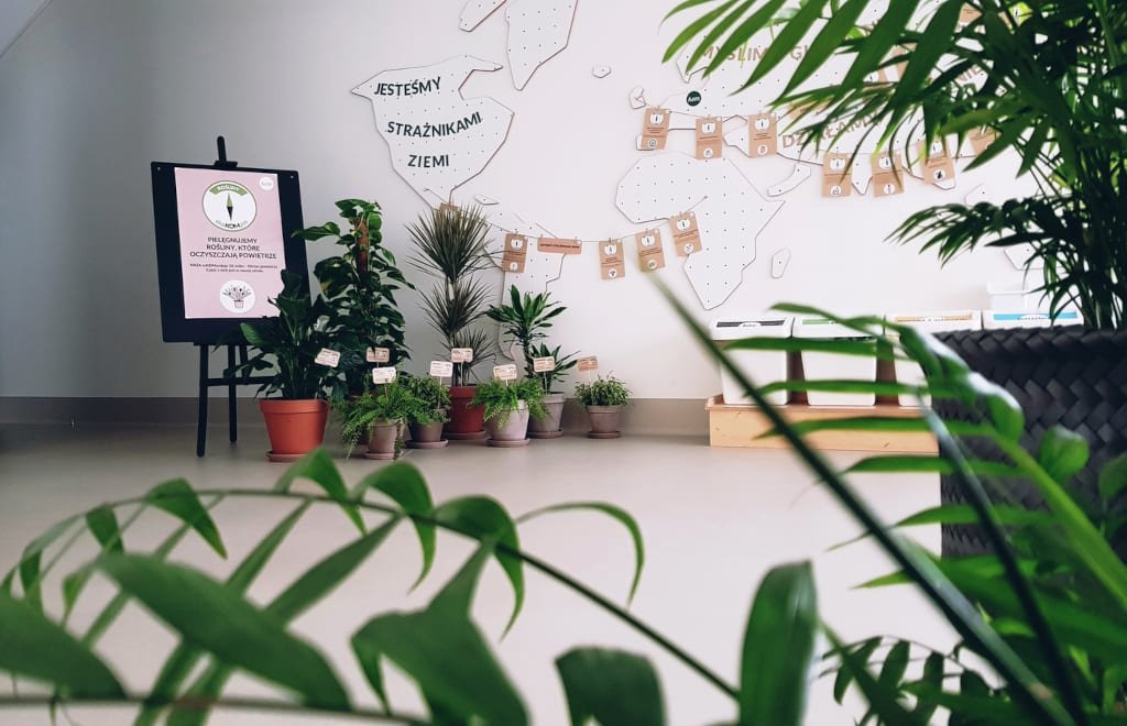 Strefa rodzica – przestrzeń ekspozycyjna, gdzie prezentowane są efekty szkolnych projektów edukacyjnych.