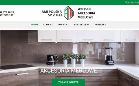 AMI Polska - nowa strona www.