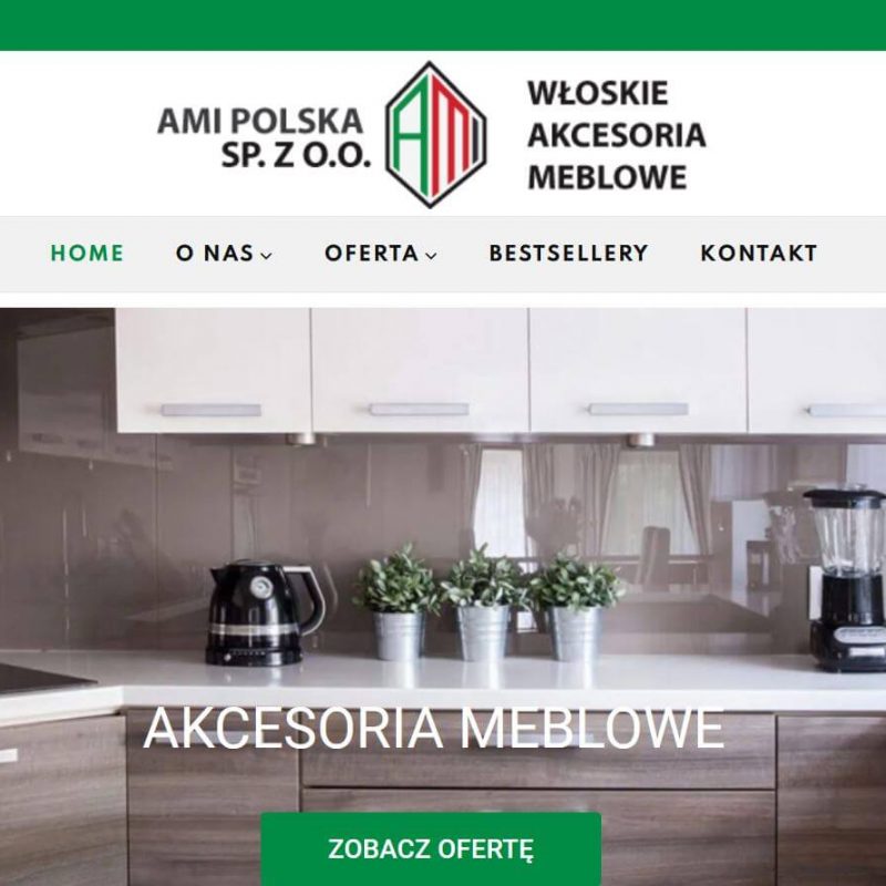 AMI Polska - nowa strona www.
