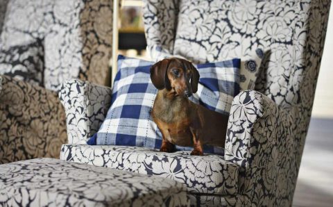 IKEA nowości 2026 - Nowe pokrowce na fotel i podnóżek STRANDMON.