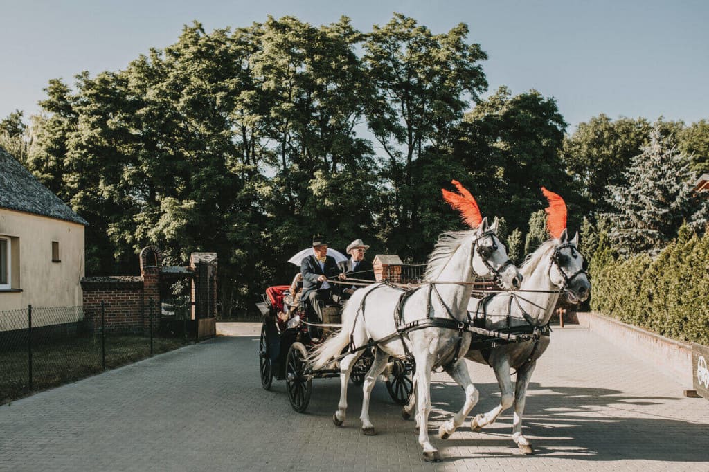 Bryczka i pięknie przystrojone konie to nieodłączny atrybut ważnych uroczystości rodzinnych. Ślub córki, 2019 r.