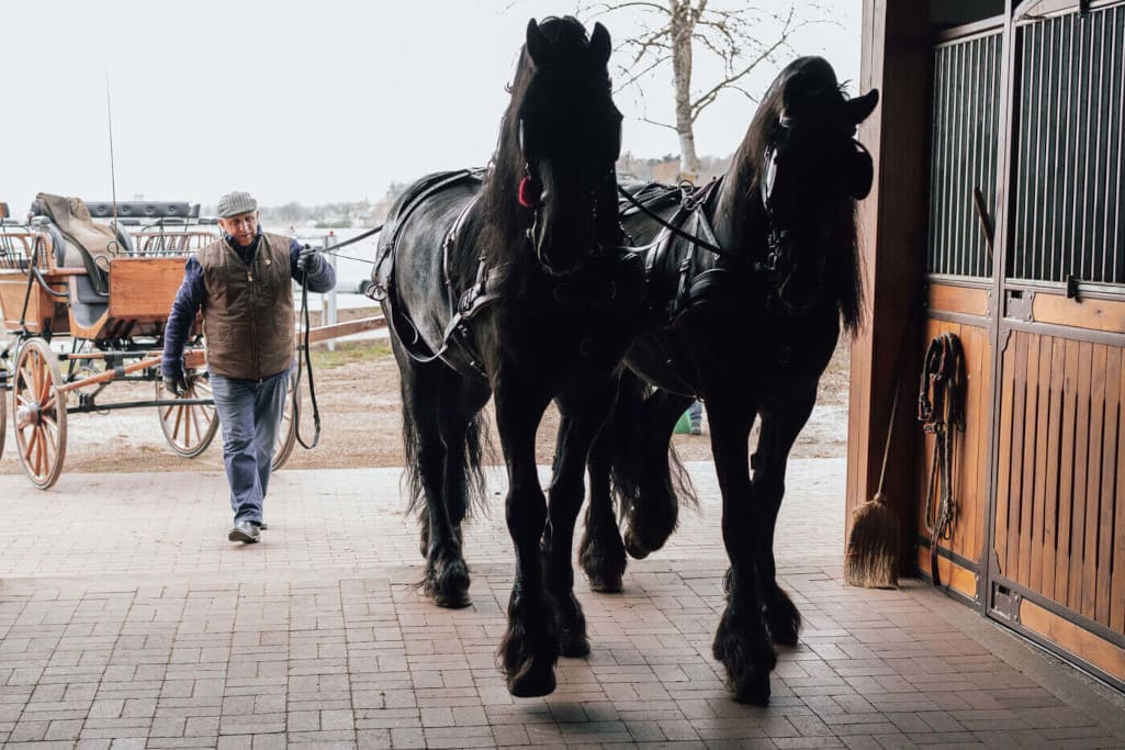 Zbigniew Chmielewski. Stajnia z 14 stanowiskami dla koni. Sławno w gminie Kiszkowo (pow. gnieźnieński), 2021 r.