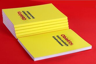 „Obiekty, które zostały biedronkami”