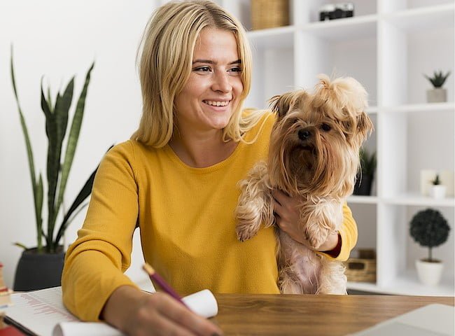 home office w badaniach, praca zdalna według przedsiębiorców