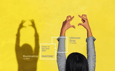 Yellow and Gray, Pantone