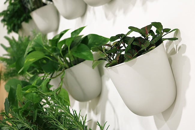 Poppy” – osłonki naścienne produkcja: DonKwiat/projekt: Kabo & Pydo design studio.