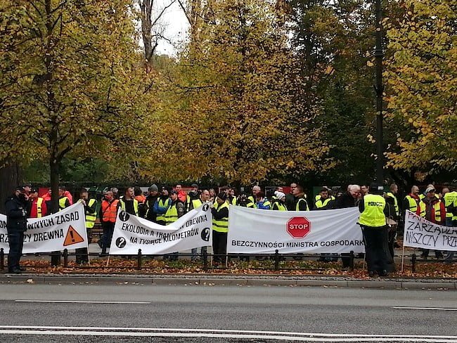 protest przemysłu drzewnego
