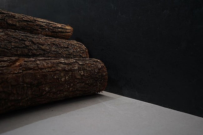 kiedy ograniczony zostanie eksport drewna z Polski