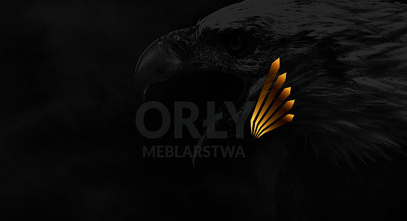 Logo Plebiscytu Orły Meblarstwa