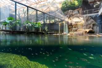 nowoczesne orientarium w Łodzi