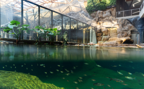 nowoczesne orientarium w Łodzi