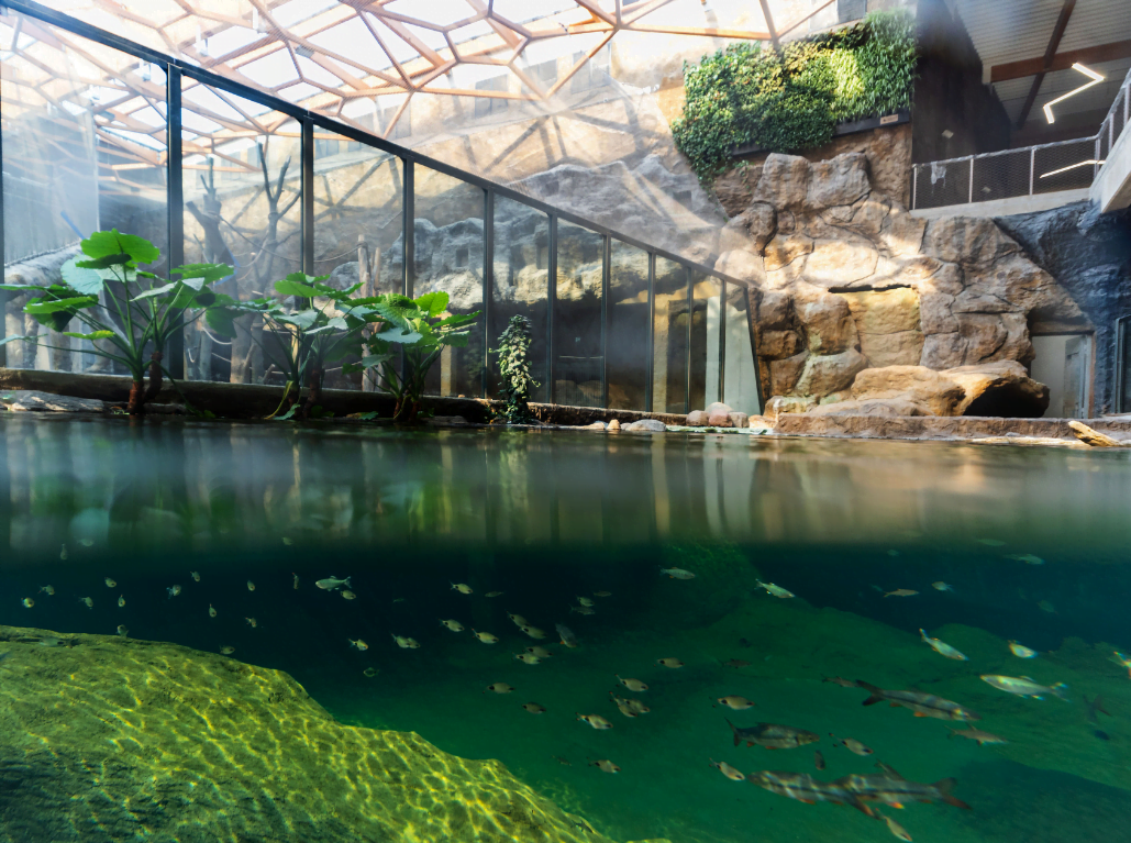 nowoczesne orientarium w Łodzi