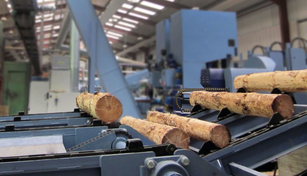 Według danych GUS wartość produkcji sprzedanej mebli w 2021 roku wyniosła blisko 55,9 mld zł i jest to o 20% więcej niż w 2020 roku, kiedy to ta wartość około 46,8 mld zł.