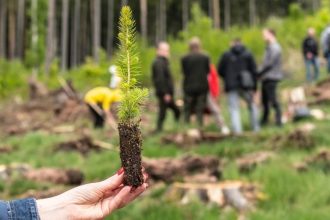 „Lasy na nowe 100-lecie” - akcja sadzenia drzew na dużą skalę.
