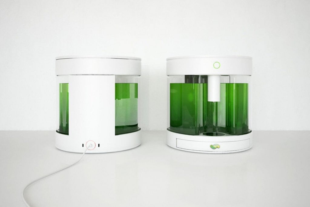 Bioreaktor do domowej uprawy spiruliny, zaprojektowany przez Macieja Karpiaka dla Spiruu.