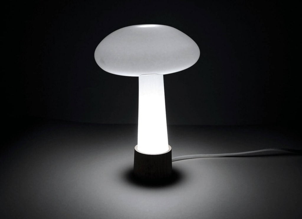 Magdalena Paleczna: projekt lampy „Fungus”.