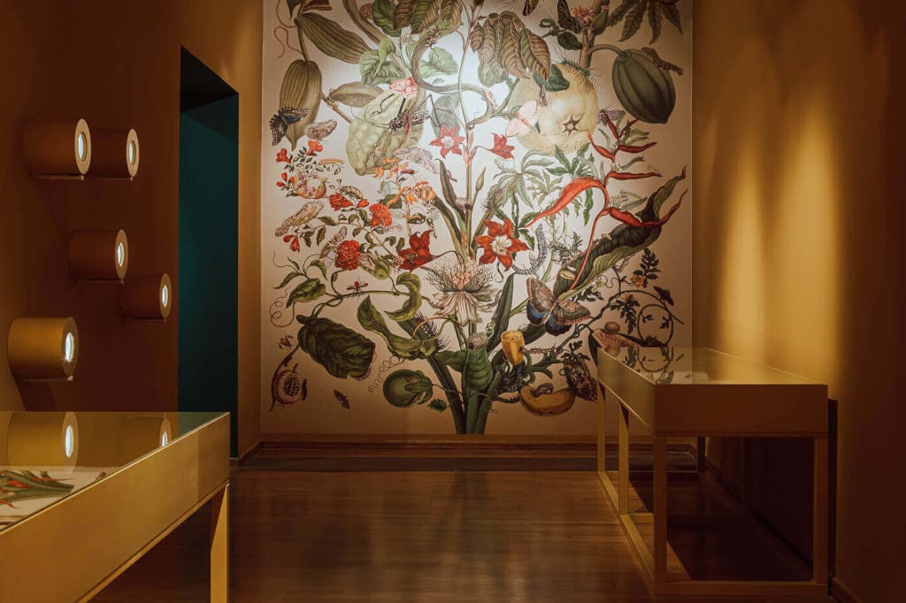 Wystawa „Rośliny i Zwierzęta” w MCK Kraków. Fot. Bart Pawlik.