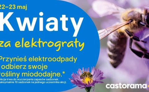 Przynieś sprzęt elektroniczny i elektryczny do wybranego sklepu Castorama, a w ramach akcji Kwiaty za elektrograty 2026 otrzymasz sadzonki kwiatków miododajnych.