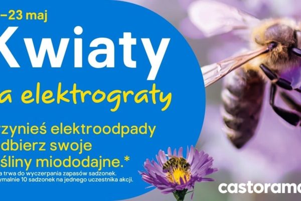Przynieś sprzęt elektroniczny i elektryczny do wybranego sklepu Castorama, a w ramach akcji Kwiaty za elektrograty 2026 otrzymasz sadzonki kwiatków miododajnych.