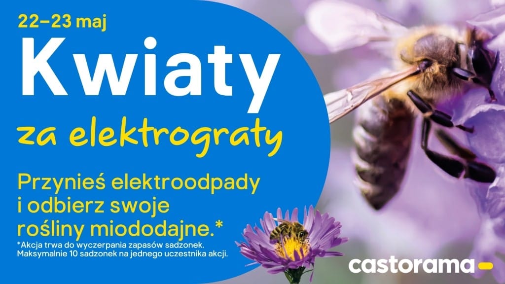 Przynieś sprzęt elektroniczny i elektryczny do wybranego sklepu Castorama, a w ramach akcji Kwiaty za elektrograty 2026 otrzymasz sadzonki kwiatków miododajnych.