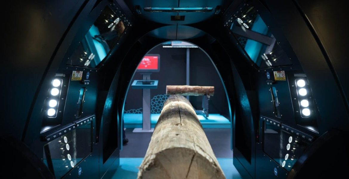 Podczas targów LIGNA 2023 MiCROTEC zaprezentował wiodące na świecie rozwiązania do skanowania drewna. Fot. Rainer Jensen. Źródło: Deutsche Messe.