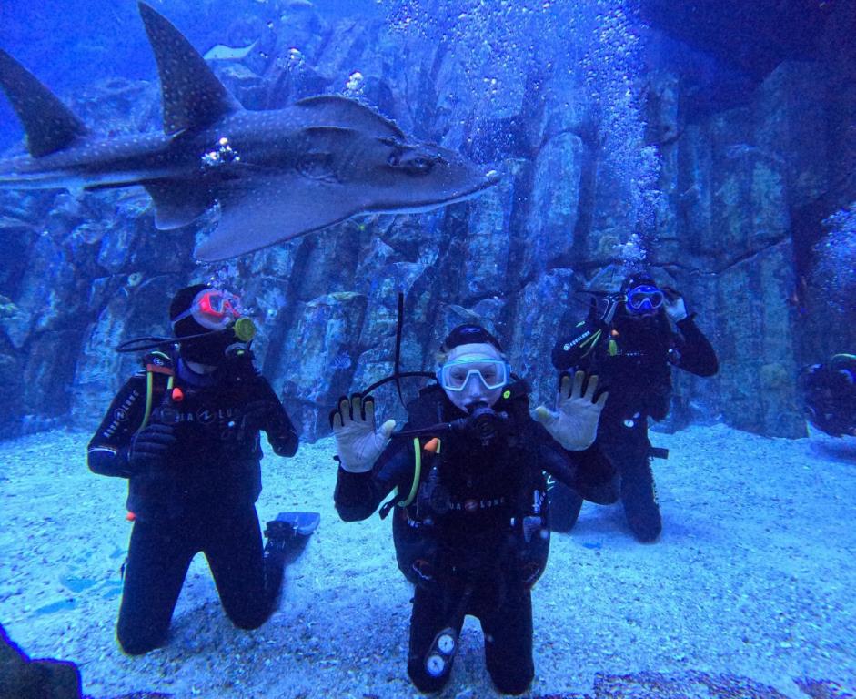 Katarzyna Wójcik-Borsukowicz i Maciej Borsukowicz z synem Piotrkiem.