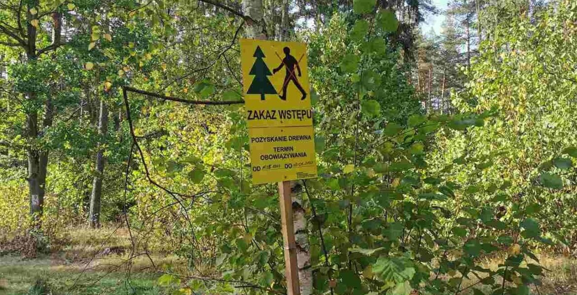 Leśnicy zaplanowali na 12 lipca 2024 r. protest przeciwko moratorium wprowadzonemu przez MKiŚ.