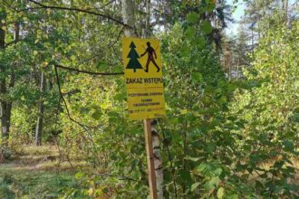 Leśnicy zaplanowali na 12 lipca 2024 r. protest przeciwko moratorium wprowadzonemu przez MKiŚ.