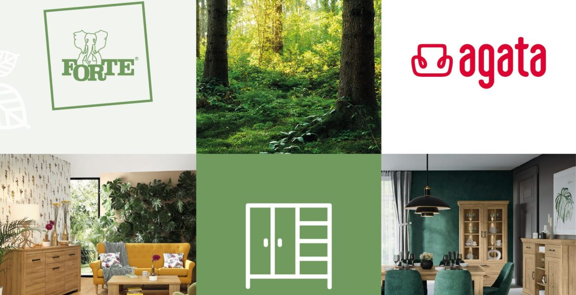 sieć Salonów Agata i Fabryki Mebli Forte łączą siły we wspólnym projekcie