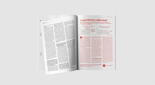 Advertorial w miesięczniku BIZNES.meble.pl