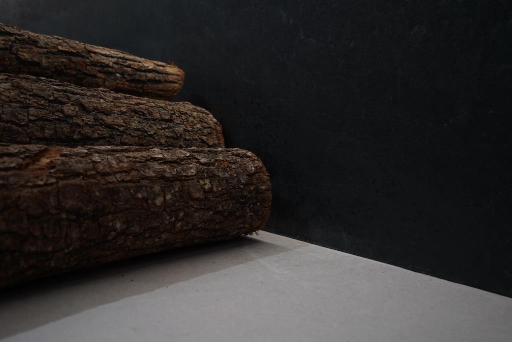 sprzedaż drewna w 2023 roku