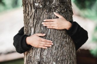 Lasy Państwowe rezygnują z certyfikacji FSC.