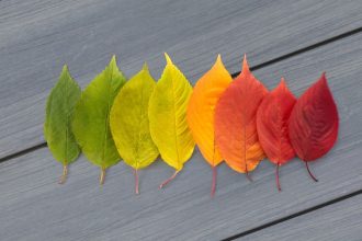 Grupa JAF przejmuje DLH