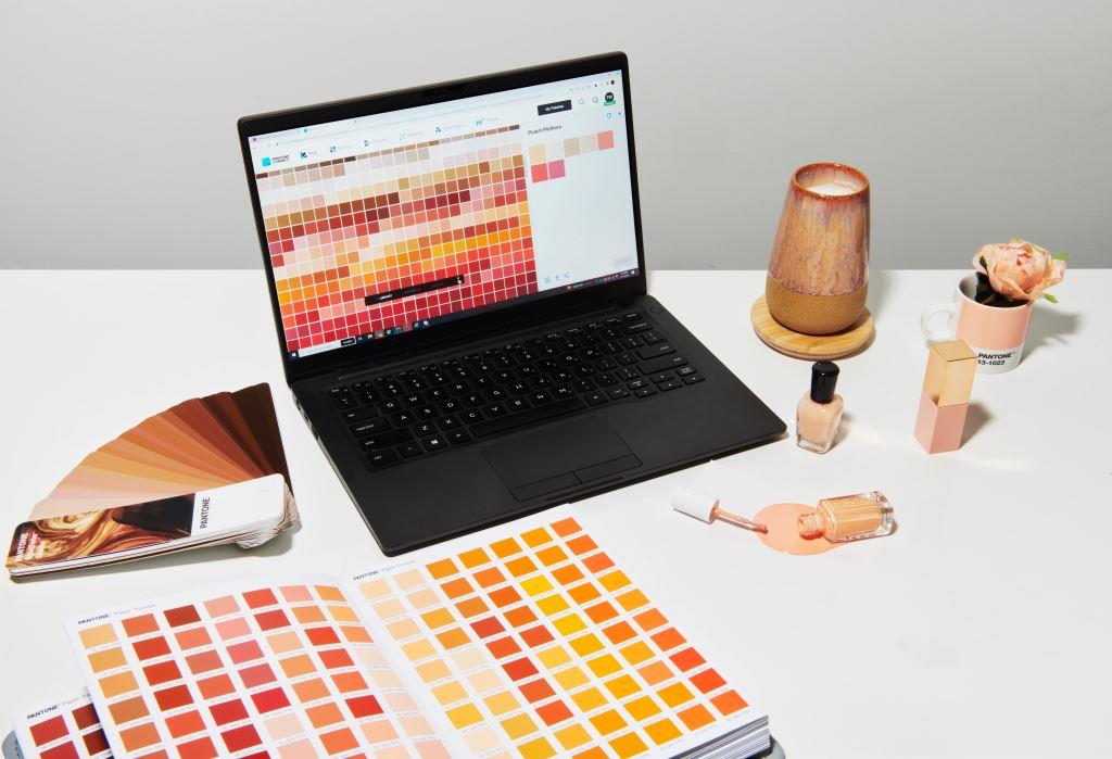 Kolor roku 2024 Pantone.