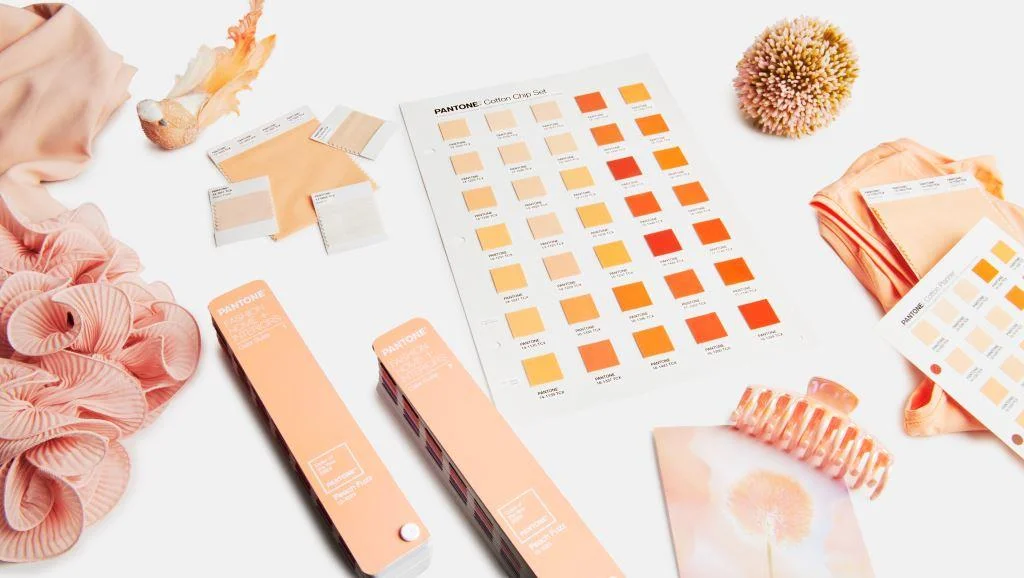 Kolor roku 2024 Pantone.