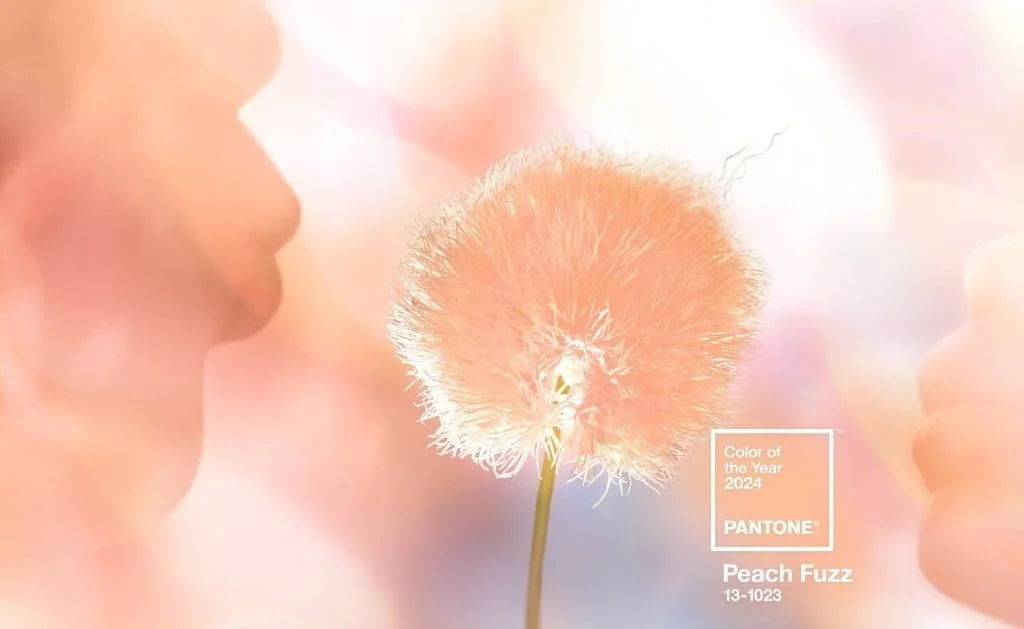 Kolor roku 2024 Pantone.