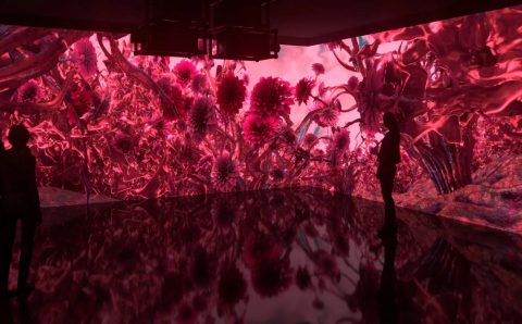 Kolor roku 2023 według Pantone. Miesięcznik i portal informacyjny BIZNES.meble.pl.