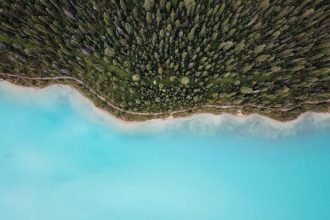 Widok z drona na lasy na Pomorzu, którymi zarządza Bartłomiej Obajtek. Miesięcznik i portal branży meblarskiej BIZNES.meble.pl