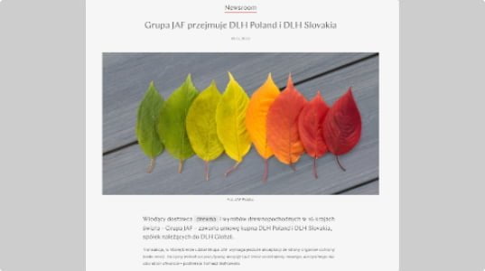 Wzór artykuł na portalu BIZNES.meble.pl