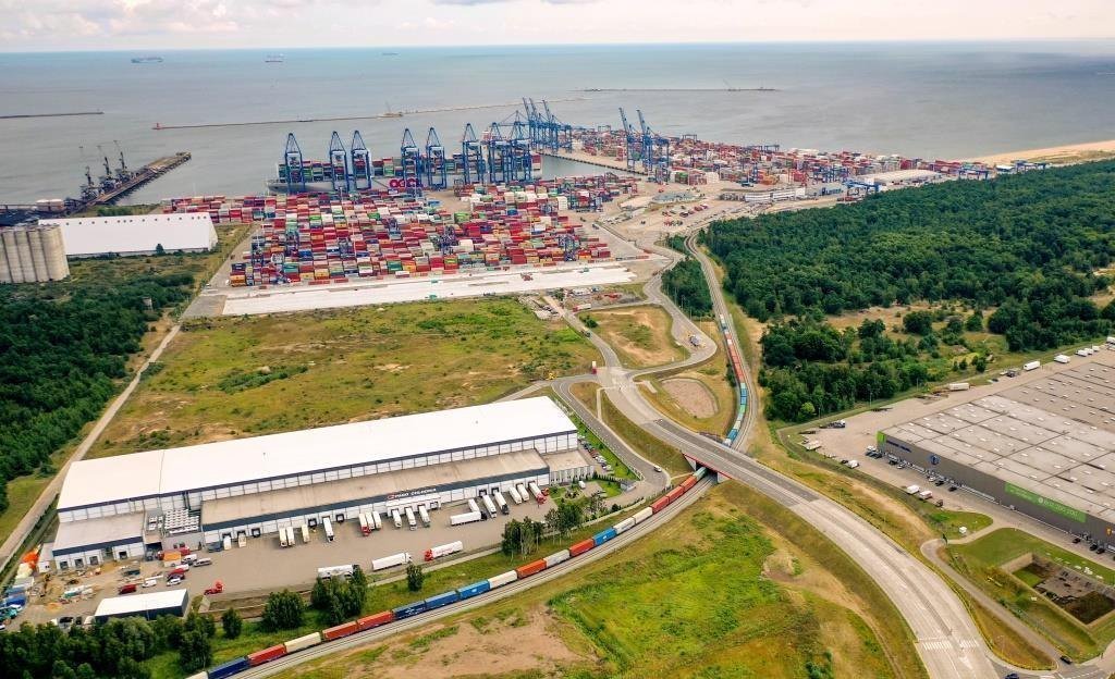 drewno w portach - Port w Gdańsku.