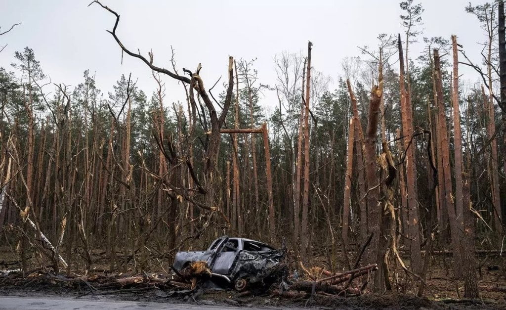 Naukowcy z Polski pomogą zadbać o zniszczone wojną lasy w Ukrainie.