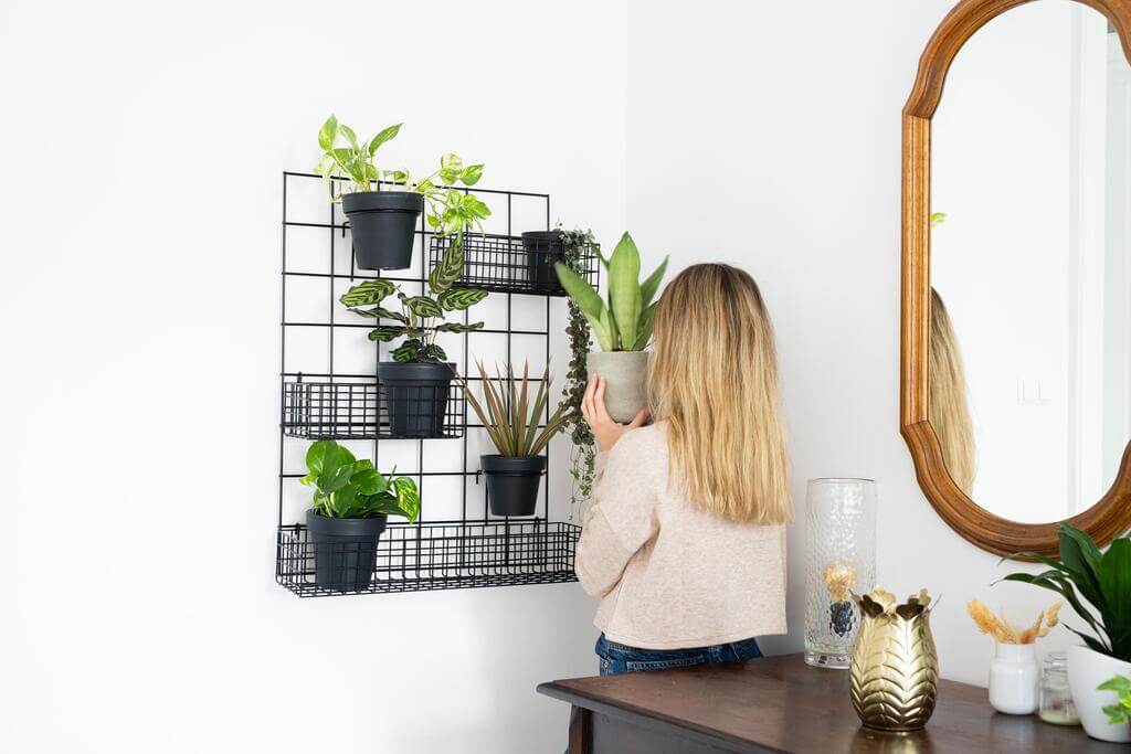 Kwietnik „Mio” to pierwszy produkt hybrydowy Ustawne, pełniący zarówno funkcję związaną z przechowywaniem, jak również funkcję kwietnika.