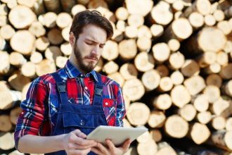 Branża meblarska chce, by Lasy Państwowe wstrzymały procedury sprzedaży drewna.