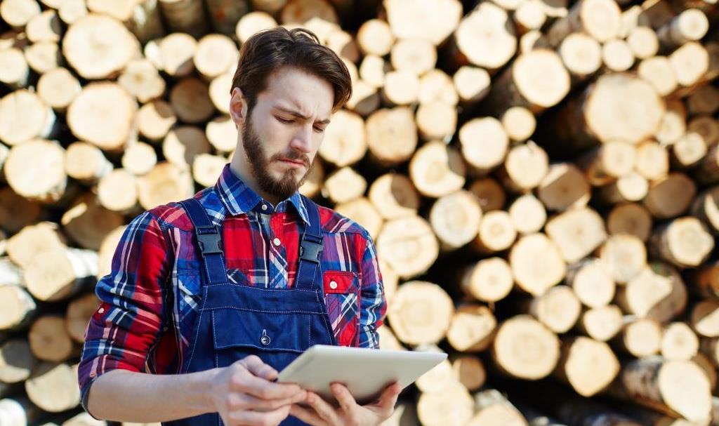 Branża meblarska chce, by Lasy Państwowe wstrzymały procedury sprzedaży drewna.