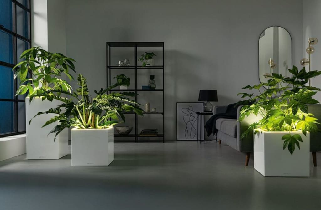 Marka Lechuza zaskakuje wprowadzeniem pierwszych donic podświetlanych LED. Donice Canto oferuje Ogrodolandia. Pomysłowo zaprojektowany pasek świetlny sprawia, że rośliny lśnią.