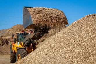 Najwięksi w Polsce producenci arkuszy fornirowych i płyt wykonanych na bazie drewna (PKD 1621Z) to – podobnie jak przed rokiem – Swiss Krono, Kronospan Szczecinek oraz Kronospan Mielec.