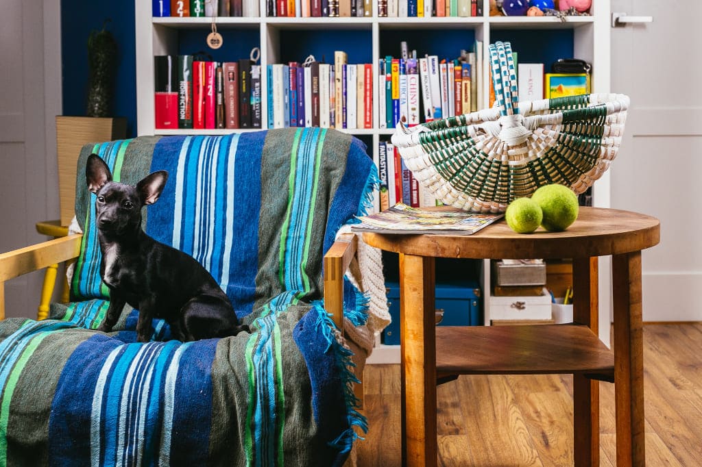 „Orzech” to piękny, kolorowy kosz od Serfenty, który może służyć zarówno do noszenia, jak i przechowywania rzeczy. Bardzo wytrzymały, przydaje się w drodze na zakupy, jest też interesującym elementem wnętrza.