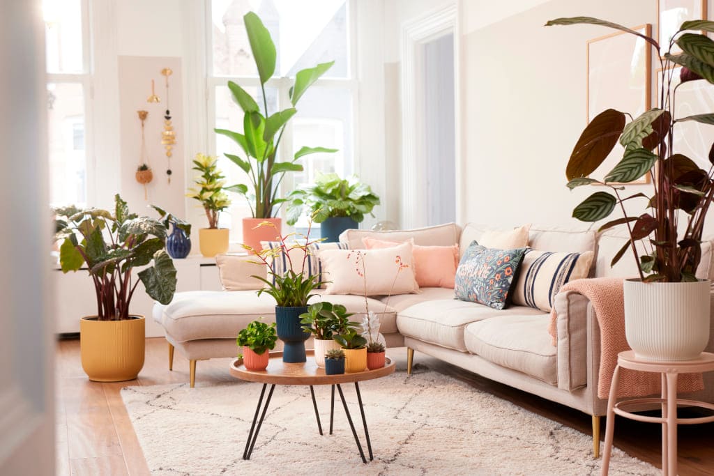 Roślinność w domu to zdecydowanie najgorętszy trend ostatnich lat! Osłonki znajdziemy w sklepie Parapet – Rośliny & Doniczki w Galerii Wnętrz Domar.